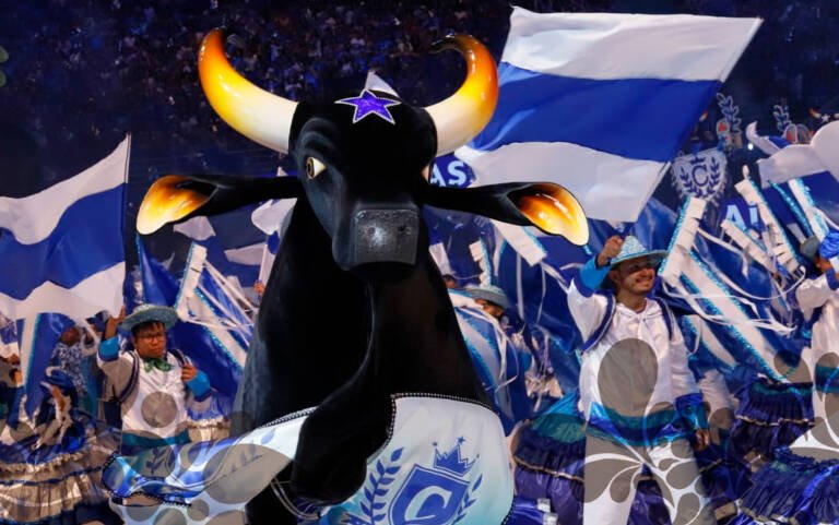 Boi Caprichoso é o campeão do 56º Festival Folclórico de Parintins, seu 25º título