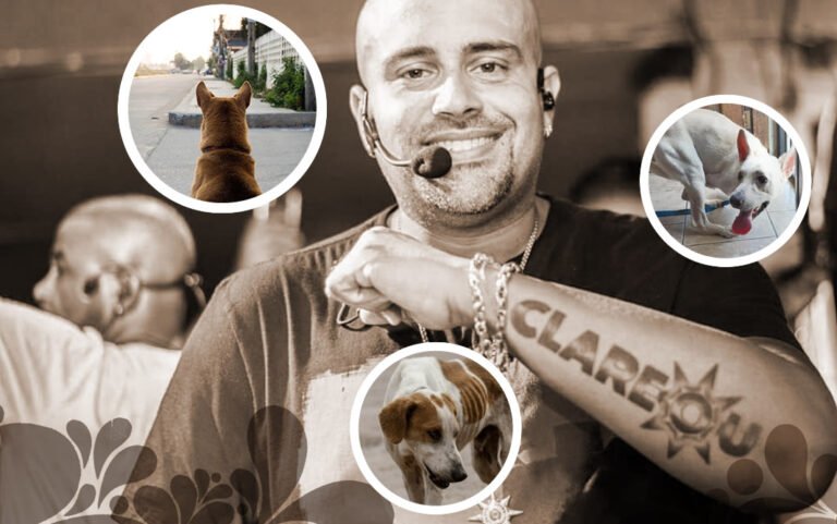 Live solidária para pets