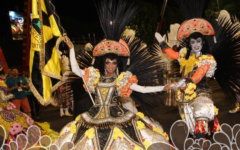 Livro conta a história dos carnavais da São Clemente